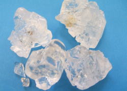 �o�X�\���g