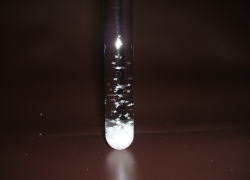 �Č��������z�E�_